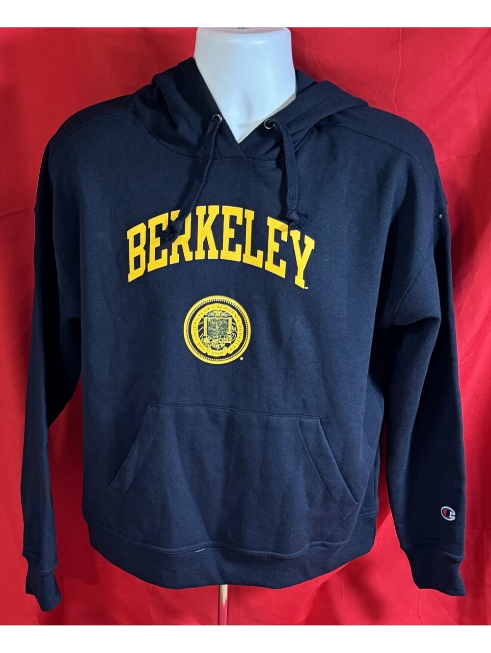University of California At Berkeley Blue Hoodie Champion M NWT